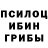 Псилоцибиновые грибы Psilocybine cubensis Prerna Agarwal