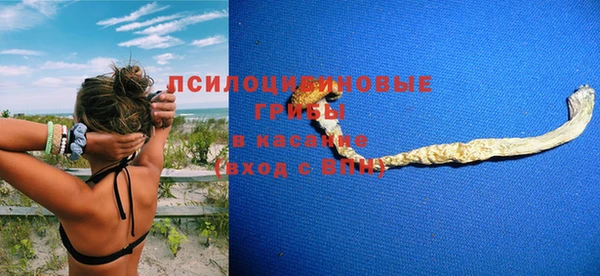прущие крисы Дмитриев