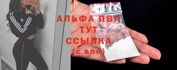 тгк Дмитровск