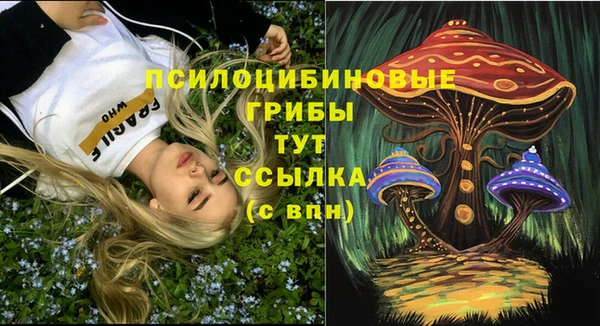 прущие крисы Дмитриев