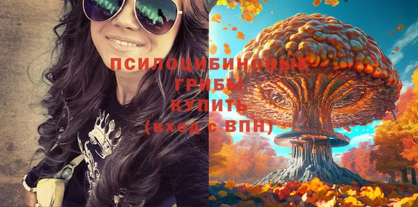 герыч Дмитров