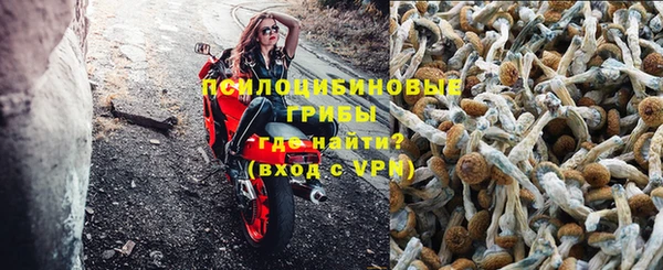 герыч Дмитров