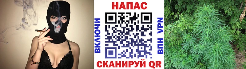 даркнет сайт  Заозёрск  OMG ССЫЛКА  Шишки марихуана план 
